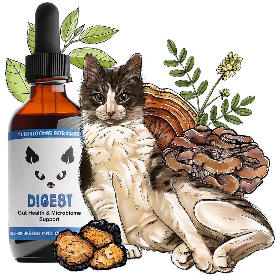 MyCo Cat Digest 2oz