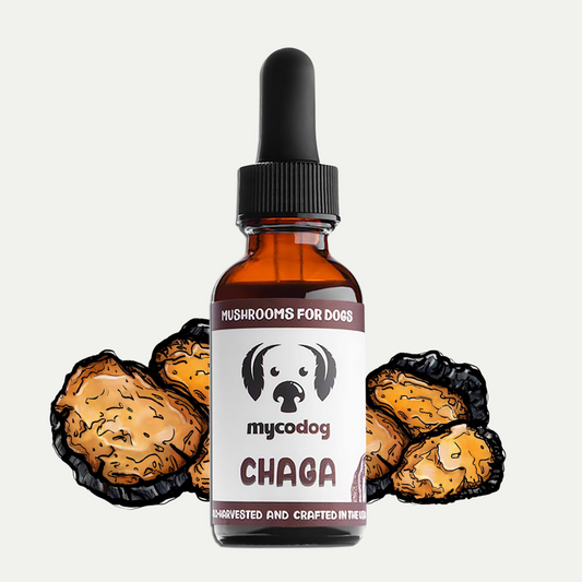 MyCo Dog Lions Chaga 1oz