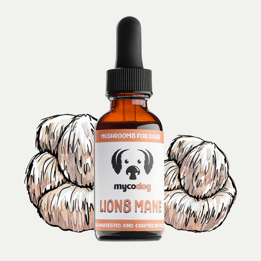 MyCo Dog Lions Mane 1oz