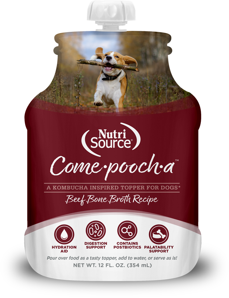 NutriSource Come Pooch A