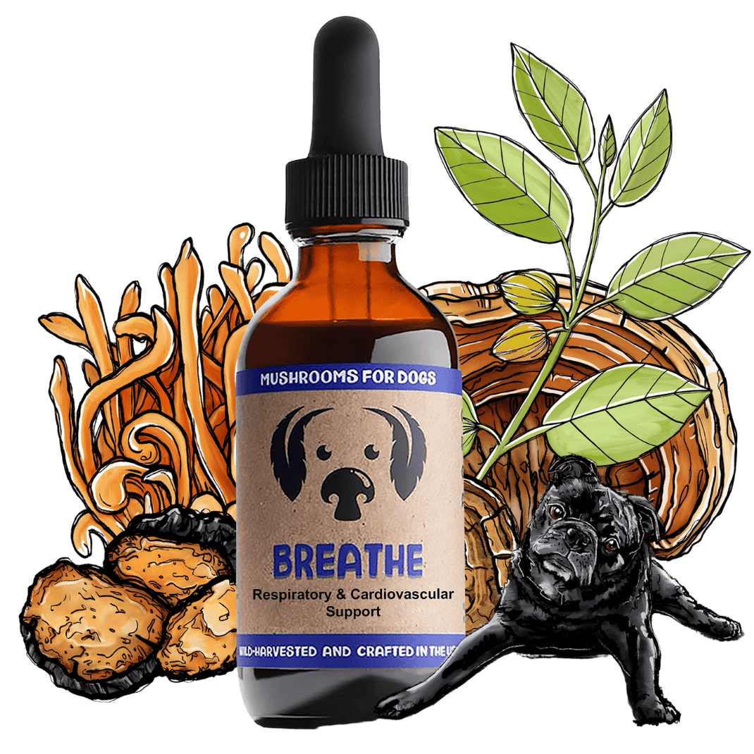 MyCo Dog Breathe 2oz