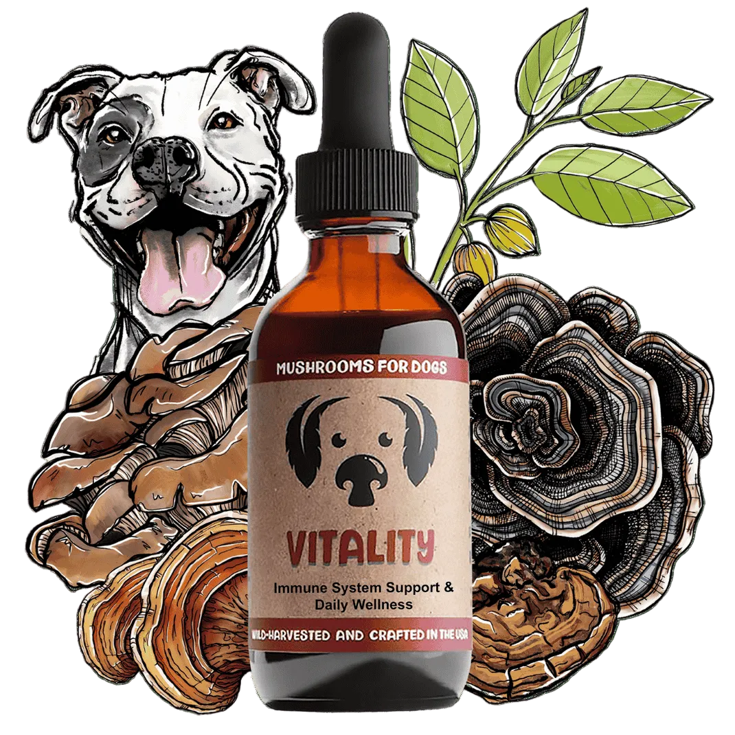 MyCo Dog Vitality 2oz