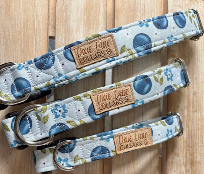 Blueberry Floral Dog Collar, Dixie Lane Collar
