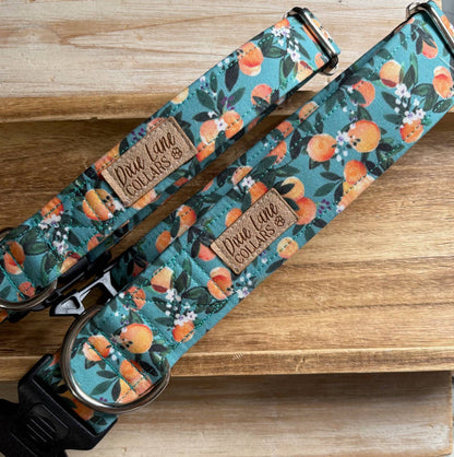 Peaches Floral Dog Collar, Dixie Lane Collars