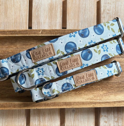 Blueberry Floral Dog Collar, Dixie Lane Collar