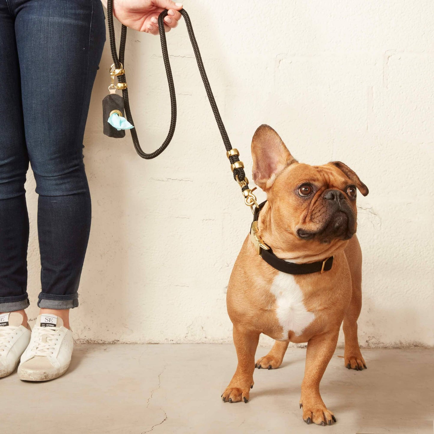 Onyx Dog Collar