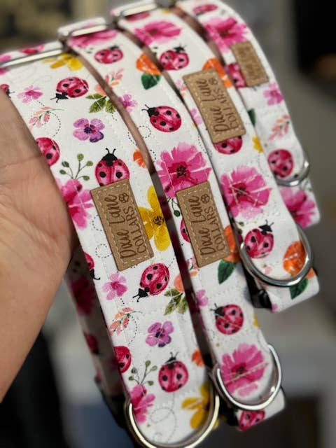 Lady Bug Floral Dog Collar, Dixie Lane Collars
