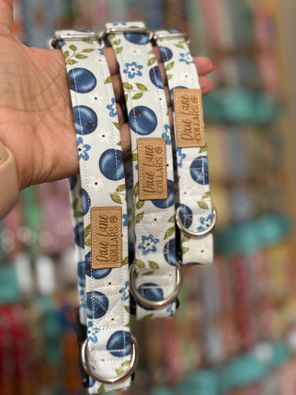Blueberry Floral Dog Collar, Dixie Lane Collar