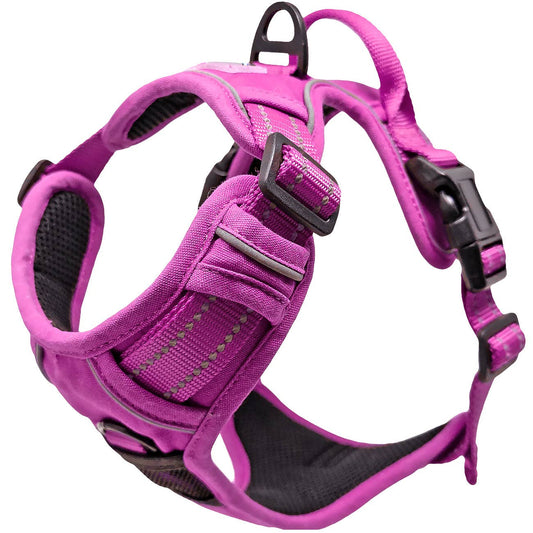 Venture Paw Dog Harness - Wild Raspberry