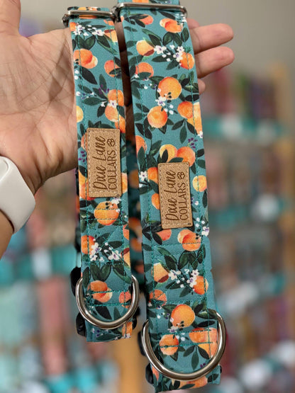 Peaches Floral Dog Collar, Dixie Lane Collars