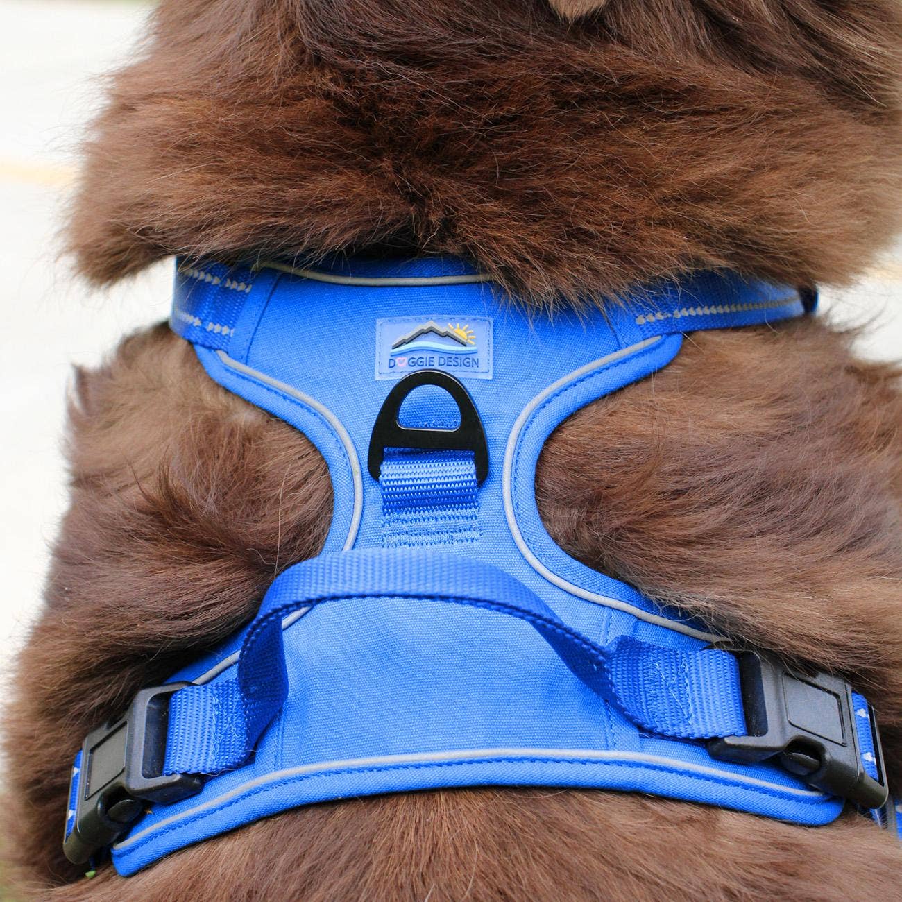 Venture Paw Dog Harness - Mountain Lake