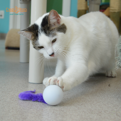 Wiggly Pong - Cat Toy Plastic Pong Ball