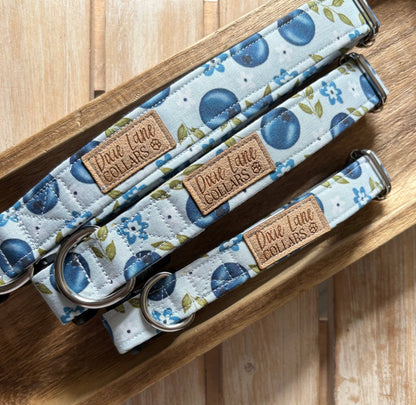 Blueberry Floral Dog Collar, Dixie Lane Collar