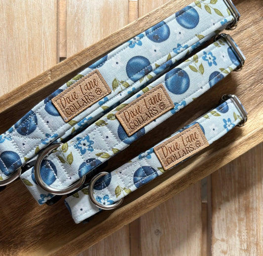 Blueberry Floral Dog Collar, Dixie Lane Collar