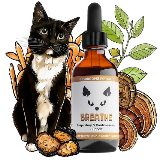 MyCo Cat Breathe 2oz