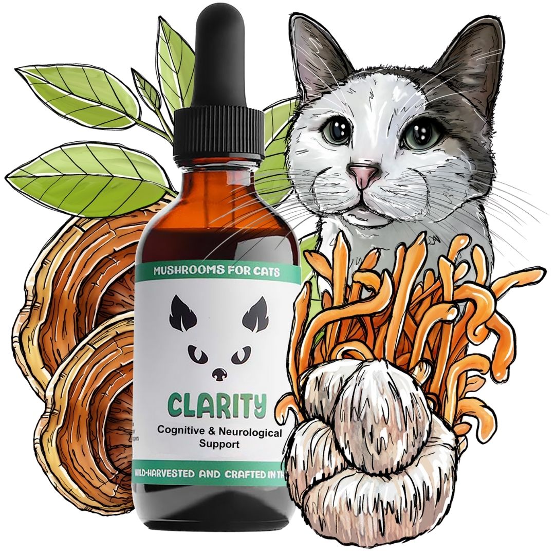 MyCo Cat Clarity 2oz