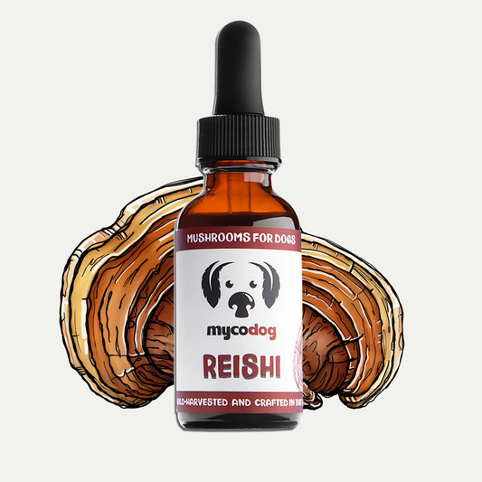 MyCo Dog Reishi 1oz
