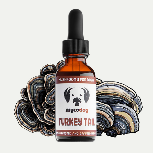 MyCo Dog Turkey Tail 1oz