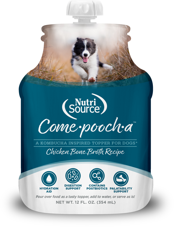 NutriSource Come Pooch A