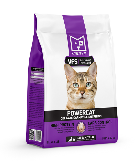 Square Pet VFS Power Cat Turkey & Chicken