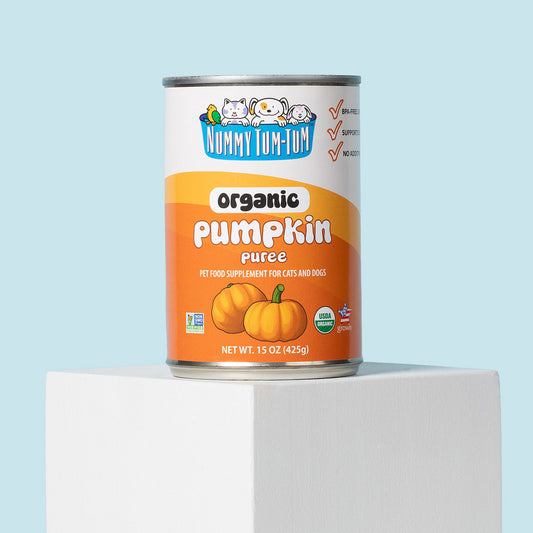 Nummy Tum Tum Organic Pumpkin 15oz