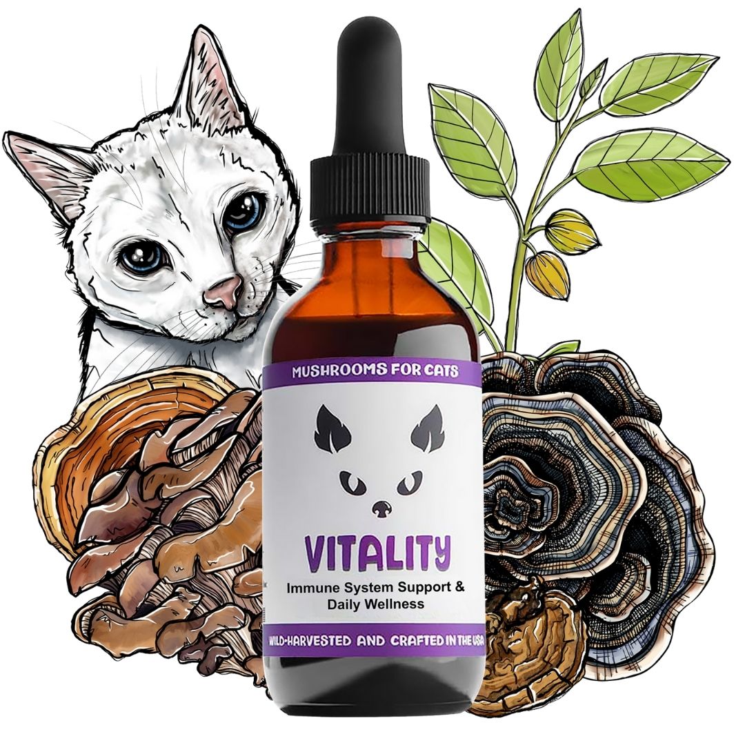 MyCo Cat Vitality 2oz