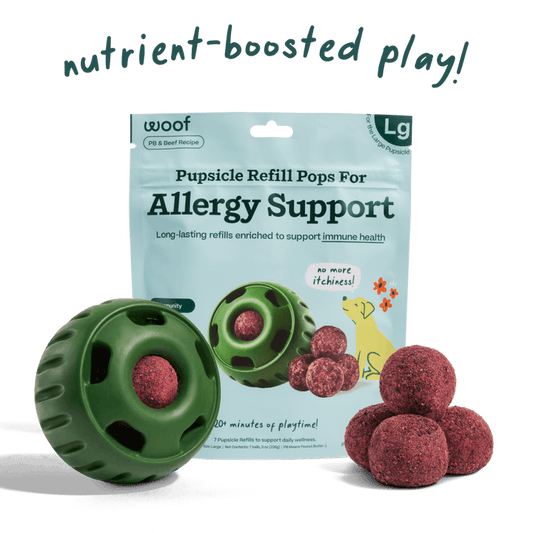 Woof Pupsicle Refill Pops Allergy & Immunity