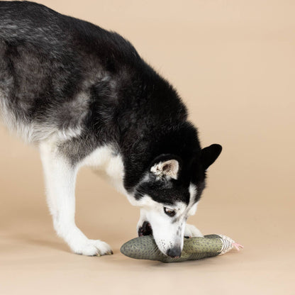 CANVAS SQUEAKER DOG TOY I CAN BE A BIT PRICKLY