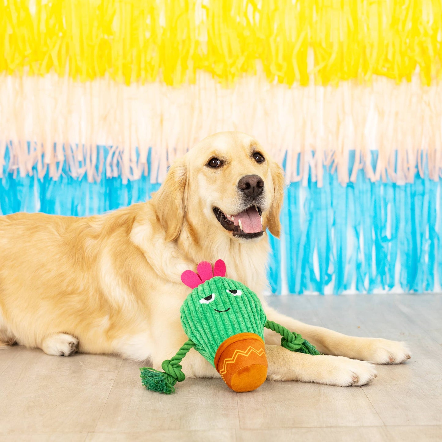 YOU GROW CHICA! PLUSH DOG TOY