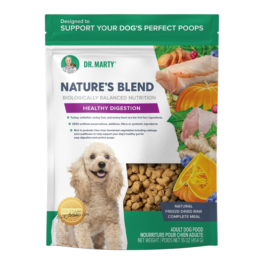 Dr. Marty's Nature's Blend Healthy Digestion