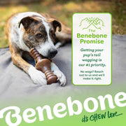 Benebone Zaggler