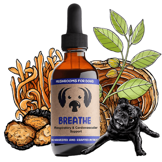 MyCo Dog Breathe 2oz