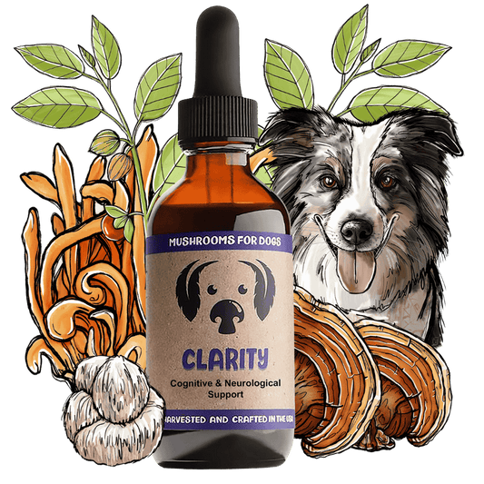 MyCo Dog Clarity 2oz