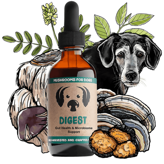 MyCo Dog Digest 2oz