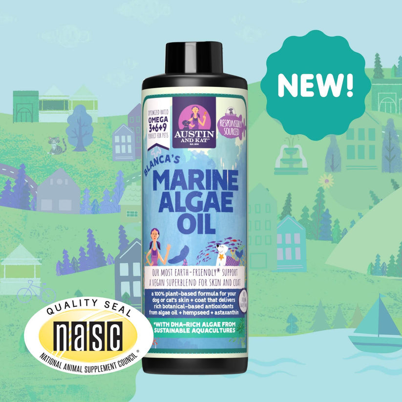 Austin & Kat Blanca's Marine Algae Oil 16oz