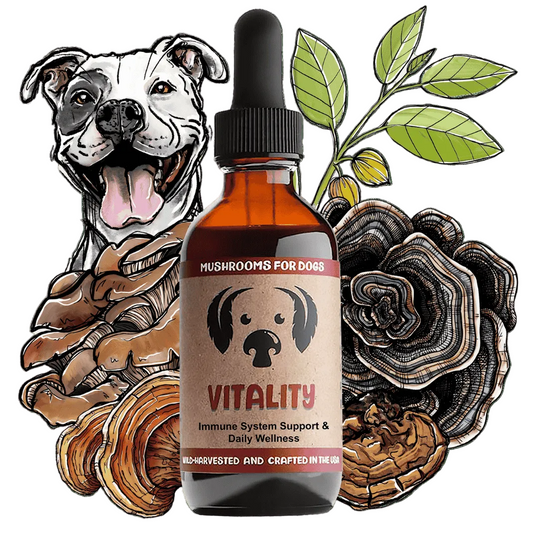 MyCo Dog Vitality 2oz